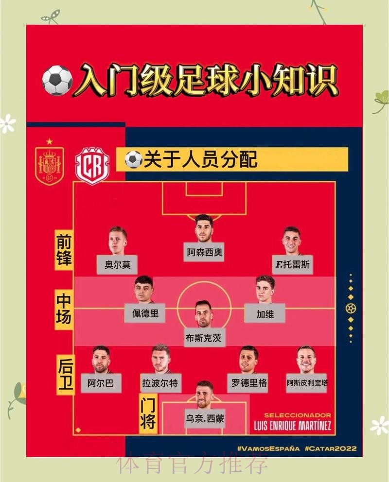 世界杯投注全景解析：高清全站导航