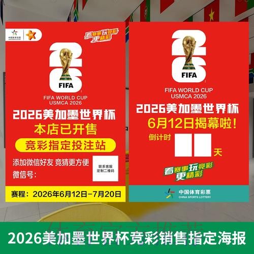 2026世界杯投注趋势全览与深度解析